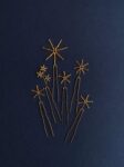 z. Stars above Us