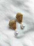 Shell Fan